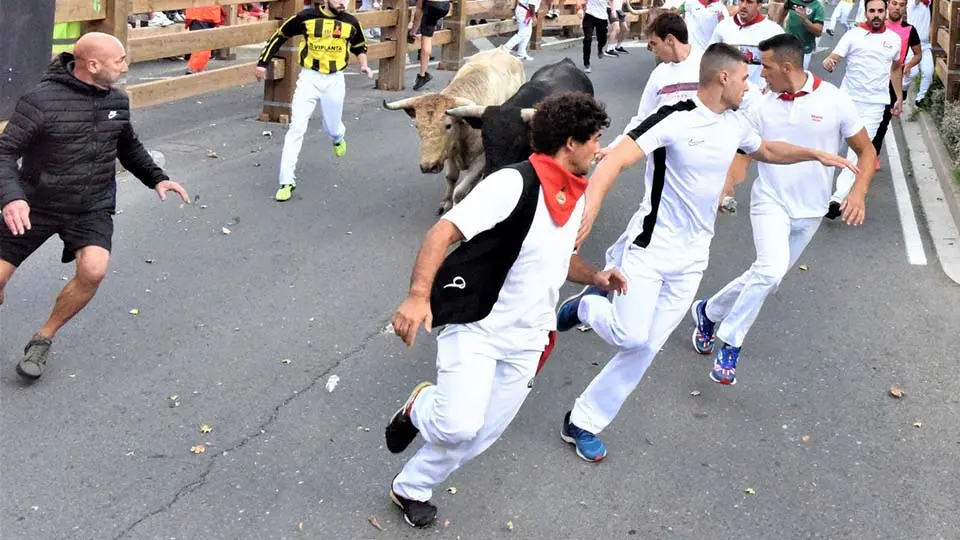 Primer Encierro Fiestas de Tudela (40)