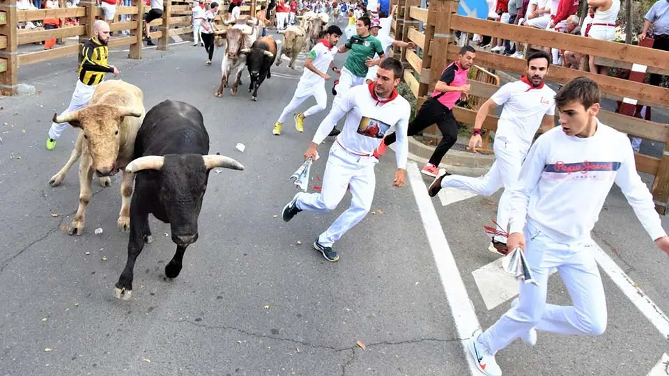 Primer Encierro Fiestas de Tudela (41)