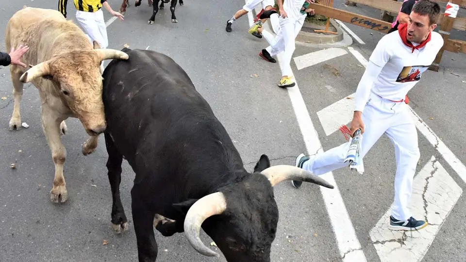 Primer Encierro Fiestas de Tudela (43)