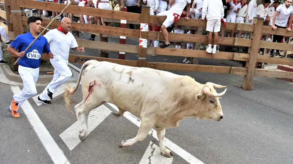 Primer Encierro Fiestas de Tudela (49)