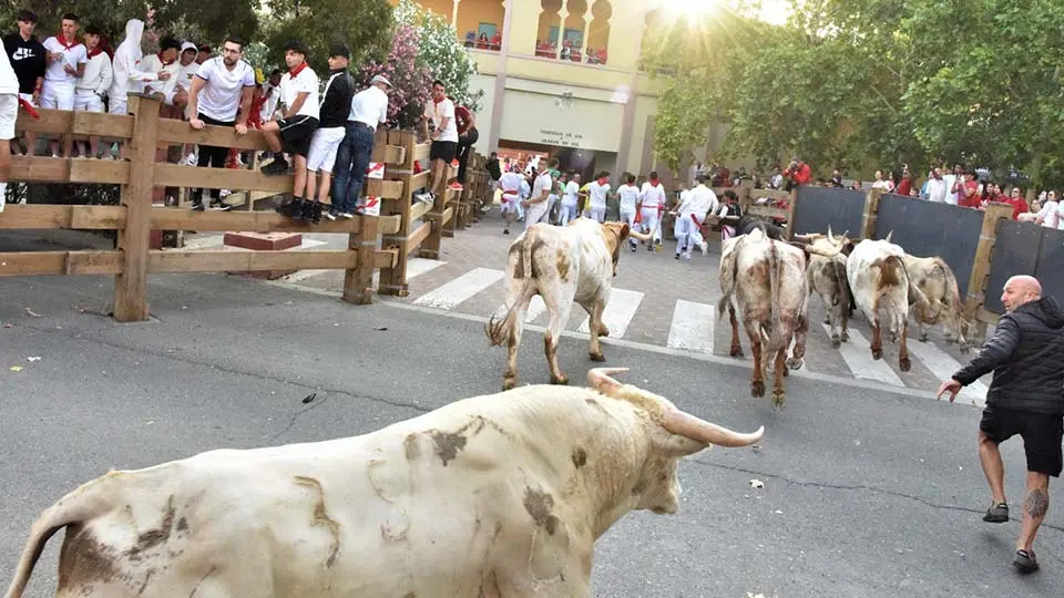 Primer Encierro Fiestas de Tudela (50)