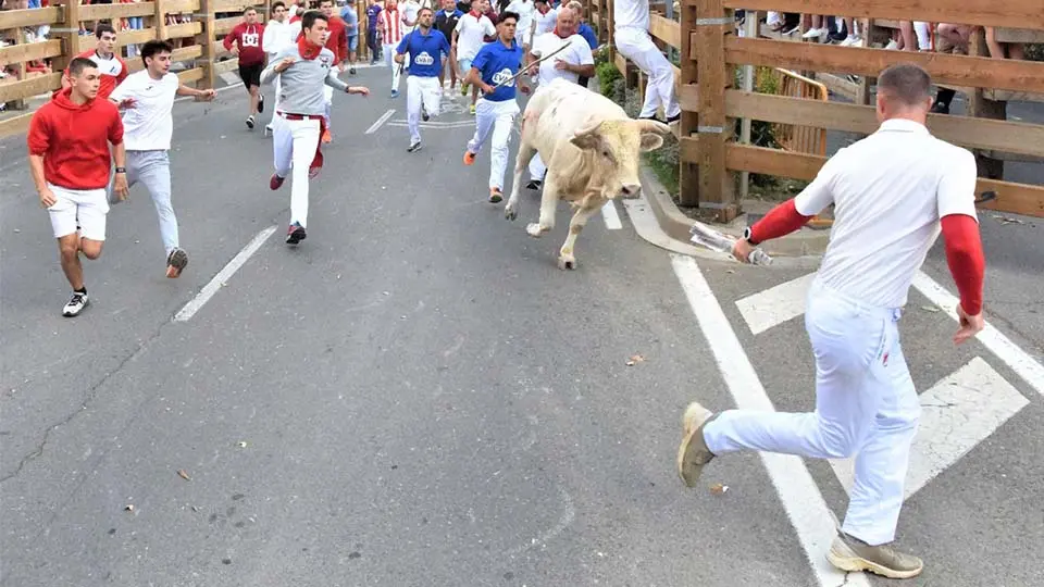 Primer Encierro Fiestas de Tudela (57)