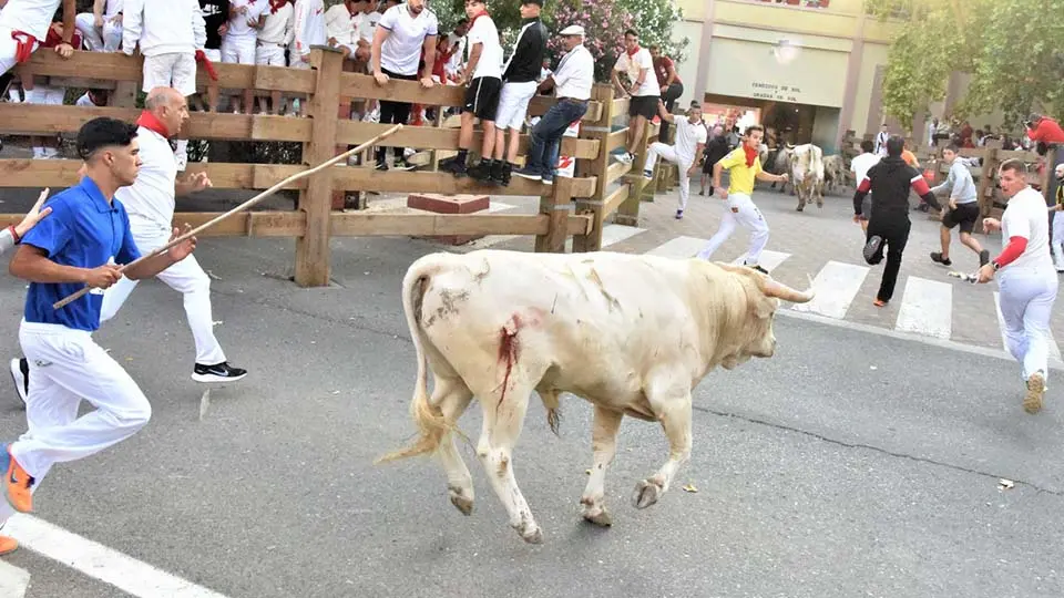 Primer Encierro Fiestas de Tudela (59)