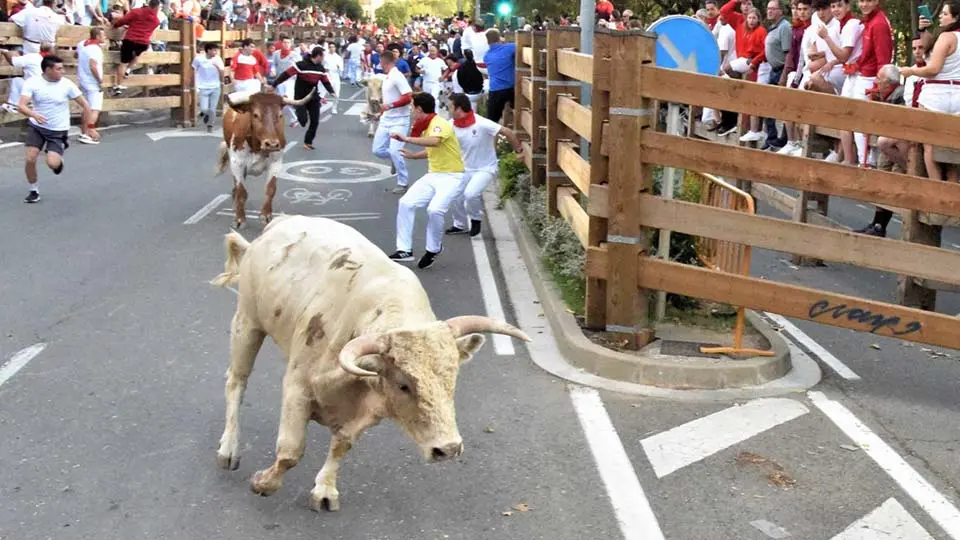 Primer Encierro Fiestas de Tudela (60)