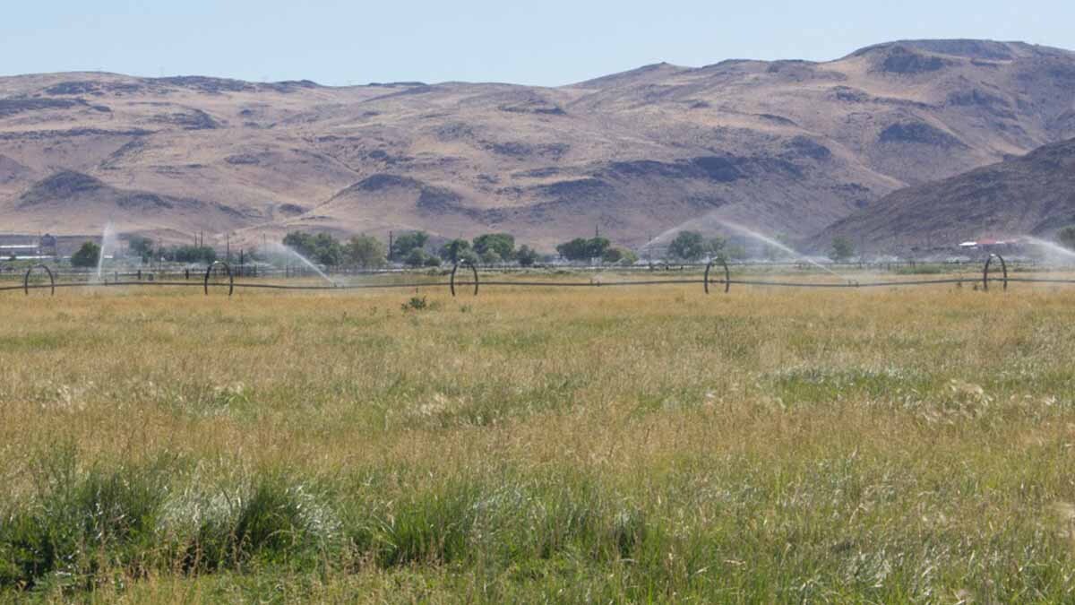 terrenos comunales de regadío
